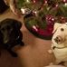Bev Nelson - Facebook