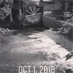 Bev Nelson - @aerofox1 - Instagram
