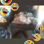 Bev Nelson - @bevnelson1 - Instagram