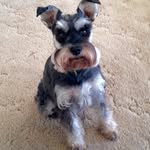Bev Oliver - @beverlyoliver59 - Instagram