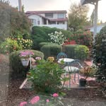 Bev Oliver Livesay - @bevlivesay - Instagram