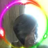 Beverly Oliver437Bell - @beverlyoliver437 - TikTok