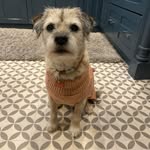 Bev phillips - @magicpuzzle63 - Instagram