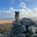 Bev Phillips - @bevling - Instagram
