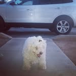 Bev Robbins - @beverlyrobbi - Instagram