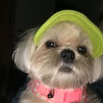 Bev Rose - @rose.bev - Instagram