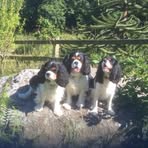 Bev Smith - Facebook