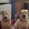 Bev Smith - @bev.smith0 - TikTok