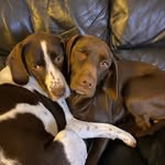 Bev Smith - @bev.smith6584 - Instagram