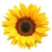 Bev Stephens - Facebook