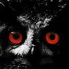 Bev Stephens - @2159574950 - TikTok