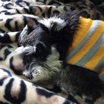 Bev Stephens - @bev_stephens - Instagram