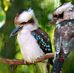 Bev Stephens - Facebook