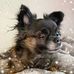 Bev Stephenson - Facebook