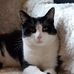 Beverley Stephenson - Facebook