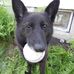 Bev Stewart - Facebook