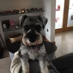 Bev Stewart - @bev.stewart.904 - Instagram