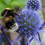 Bev Stewart - @mamaboogie14 - Instagram