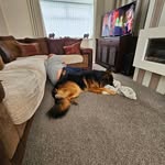 Bev Stewart - @bev.stewart.7393 - Instagram