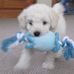 Bev Strickland - Facebook