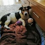 Bev Turner - Facebook