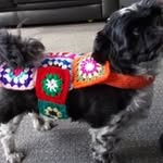 Bev Turner - @frugalgal2 - Instagram