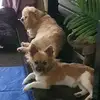 Bev Turner - @bev.turner2 - TikTok