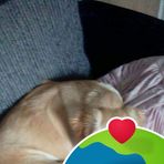 Beverley Turner - Facebook