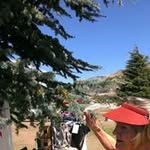 @bevwaldron20 - Instagram