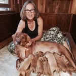 Bev Weaver - @luvdogskc - Instagram