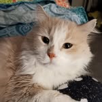 Bev Weaver - @bevweaver497 - Instagram