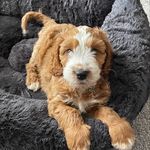 Bev White - @bev_white_new - Instagram