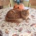 Bev White - Facebook