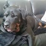 Bev Willis - @beverlywillis28 - Instagram