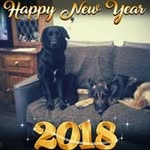 Bev Wright - @bev.wright.167 - Instagram