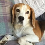 Bev Wright - @bevwright48 - Instagram