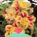 Beverley Barker - Facebook