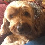 Beverley Barnett - @bevbarnett59 - Instagram