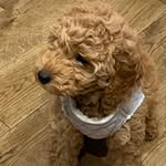 Beverley Barrett - @edie_110419 - Instagram