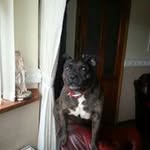Beverley Bradley - @bevann4720 - Instagram