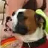 Beverley Bradley - @beverley.bradley68 - TikTok