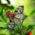 Beverley Brightwell Maisonneuve - @beverleybrightwell_maisonneuve - Instagram