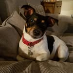Beverley Bryant - @beverley.bryant.33 - Instagram