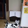 beverleybryanthan - @beverleybryanthan - TikTok