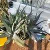 Beverly Bryant - @beverly.bryant8 - TikTok