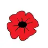 Beverley Carr860 - @beverleycarr71 - TikTok