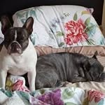 Beverley Carrington - @beverley.carrington123 - Instagram
