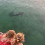 Beverley Clark - @beverley171162 - Instagram