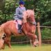 Beverley Collins - Facebook