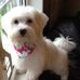 Beverley Collins - Facebook